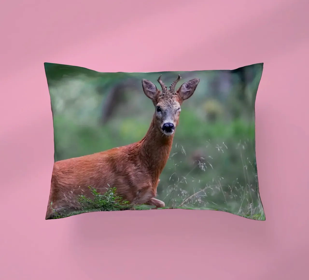 Il capriolo fa l'occhiolino cuscino da Tom's Wildlife