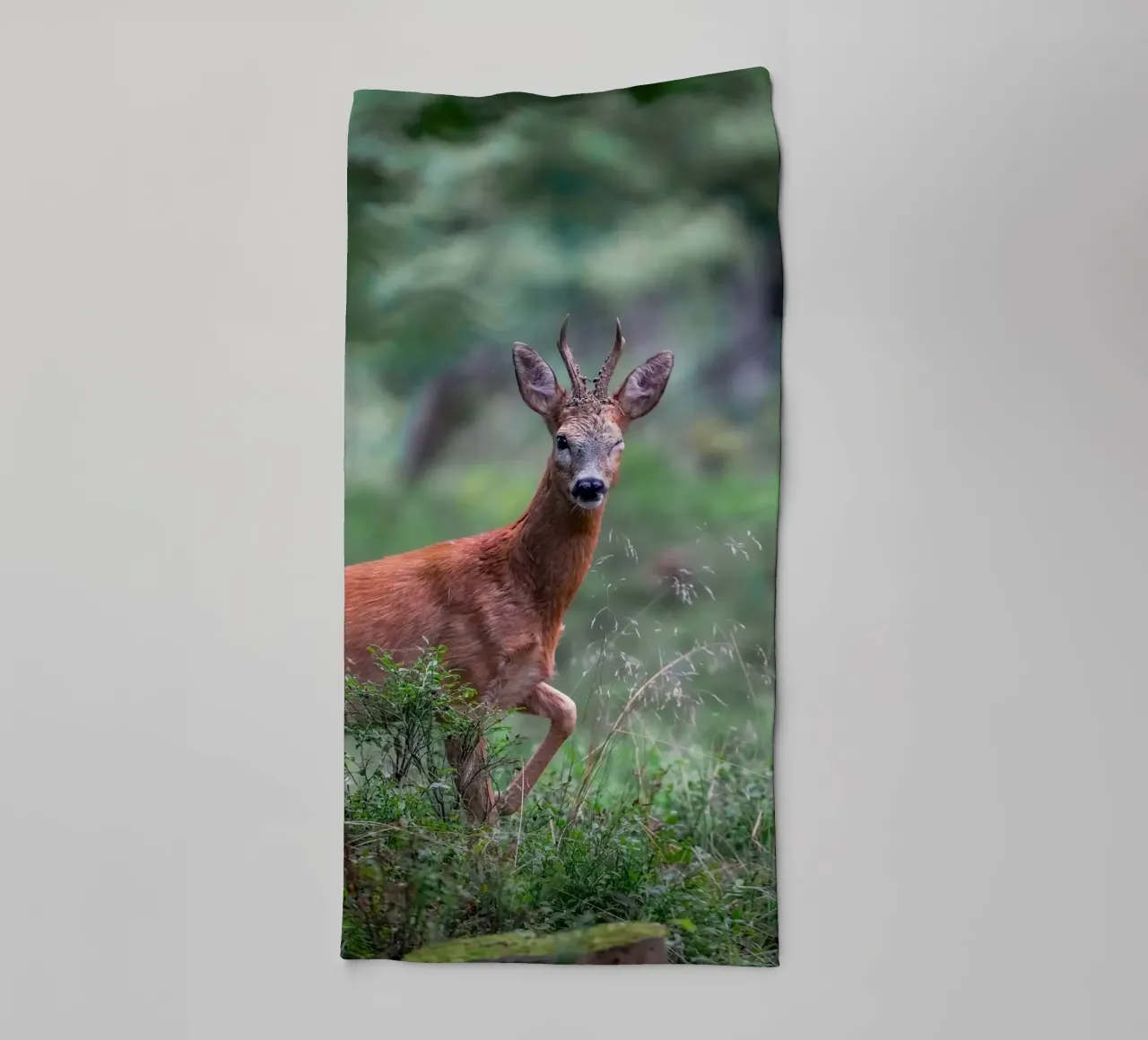 Rehwild blinzelt Handtuch von Tom's Wildlife