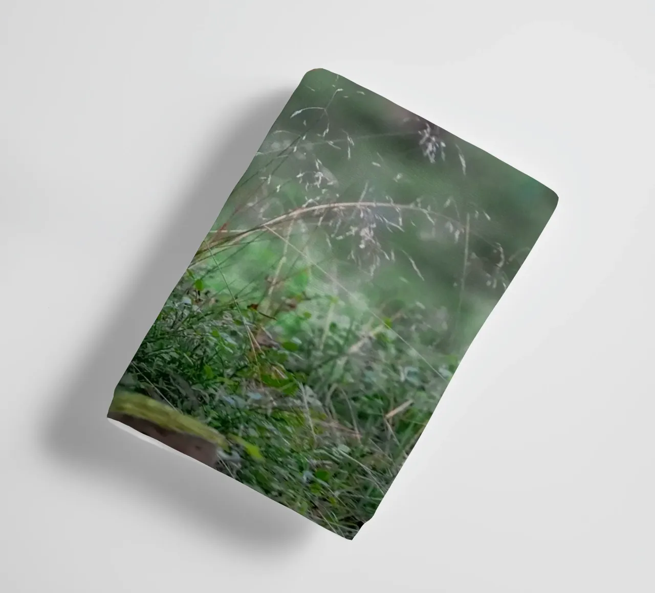 Rehwild blinzelt Handtuch von Tom's Wildlife