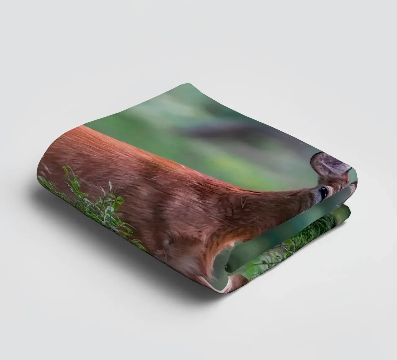 Rehwild blinzelt Handtuch von Tom's Wildlife