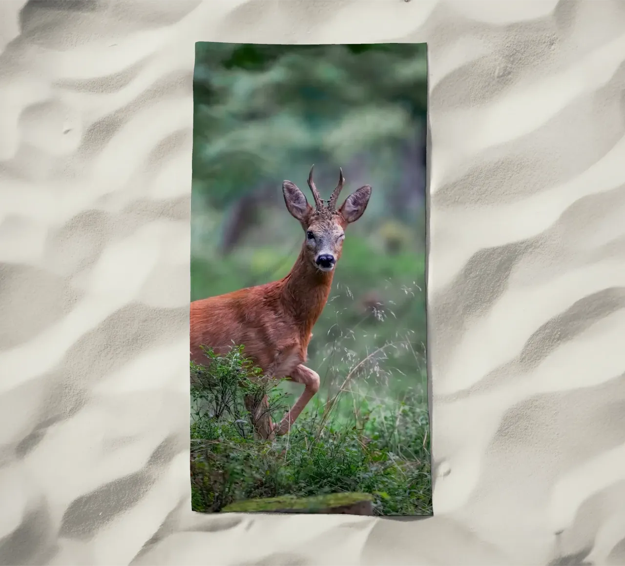 Il capriolo fa l'occhiolino telo mare da Tom's Wildlife