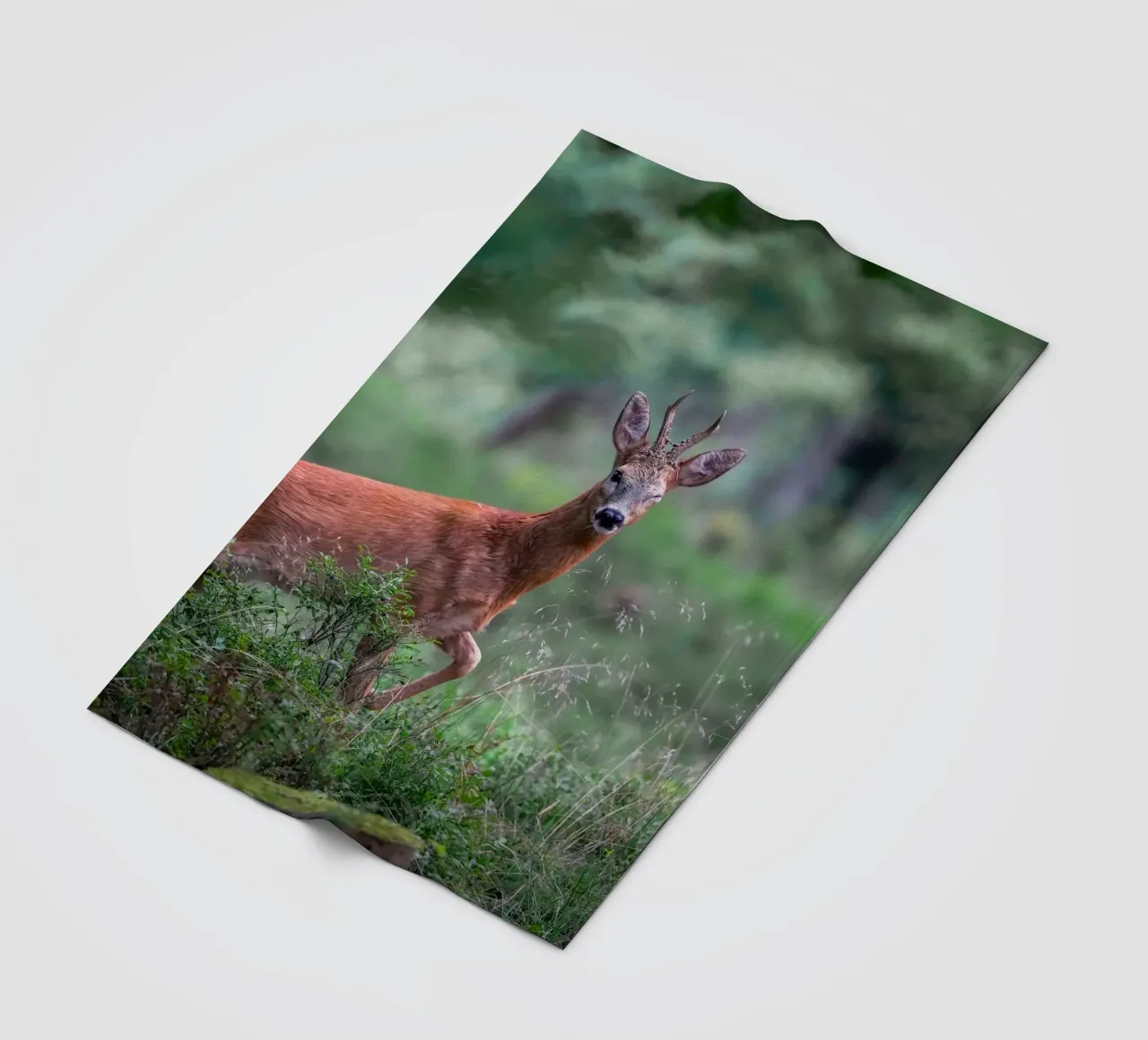 Il capriolo fa l'occhiolino coperta in pile da Tom's Wildlife