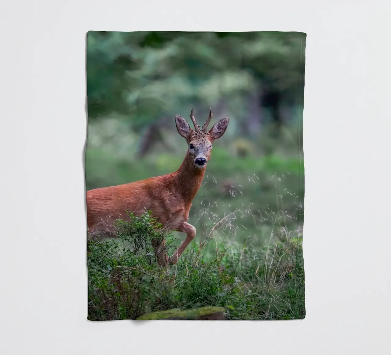Il capriolo fa l'occhiolino coperta in pile da Tom's Wildlife