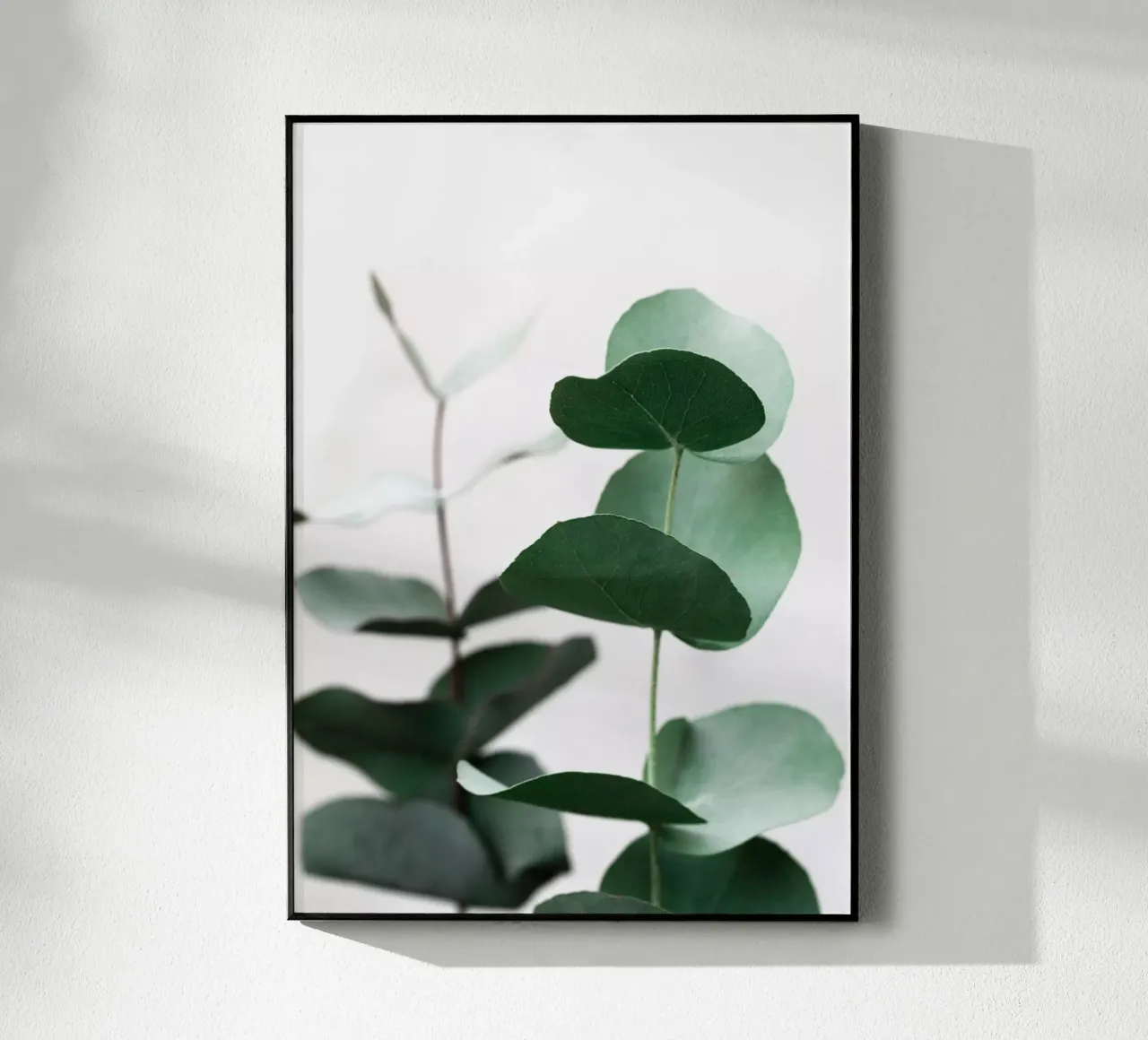 Eucalyptus 5 plexiglass da Mareike Böhmer Photography