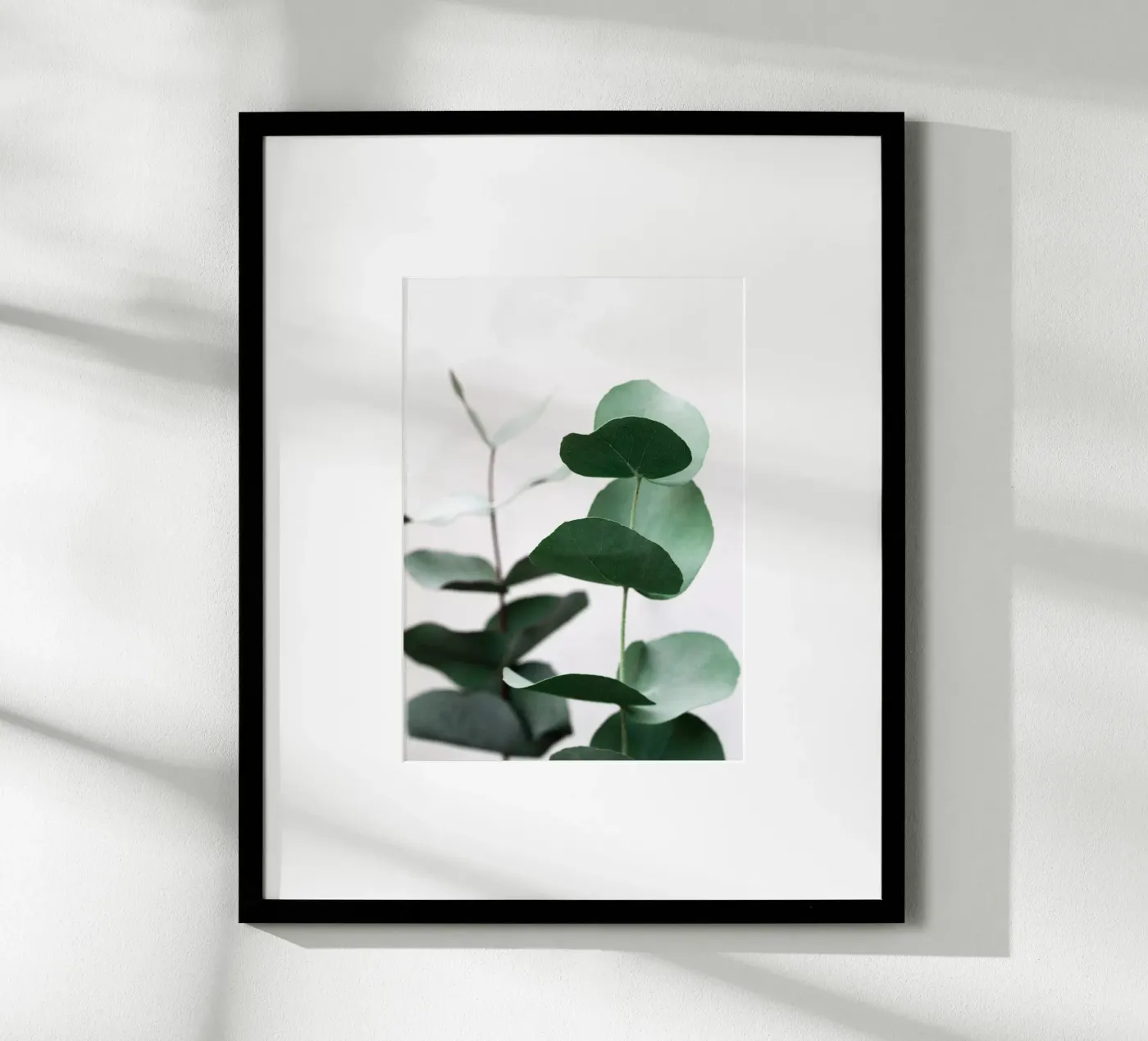 Eucalyptus 5 poster da Mareike Böhmer Photography