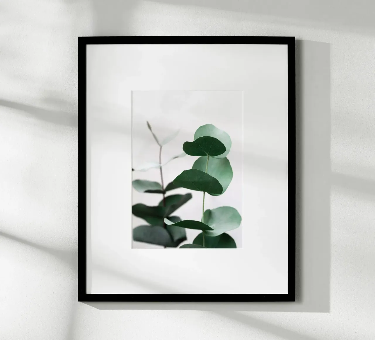 Eucalyptus 5 poster da Mareike Böhmer Photography