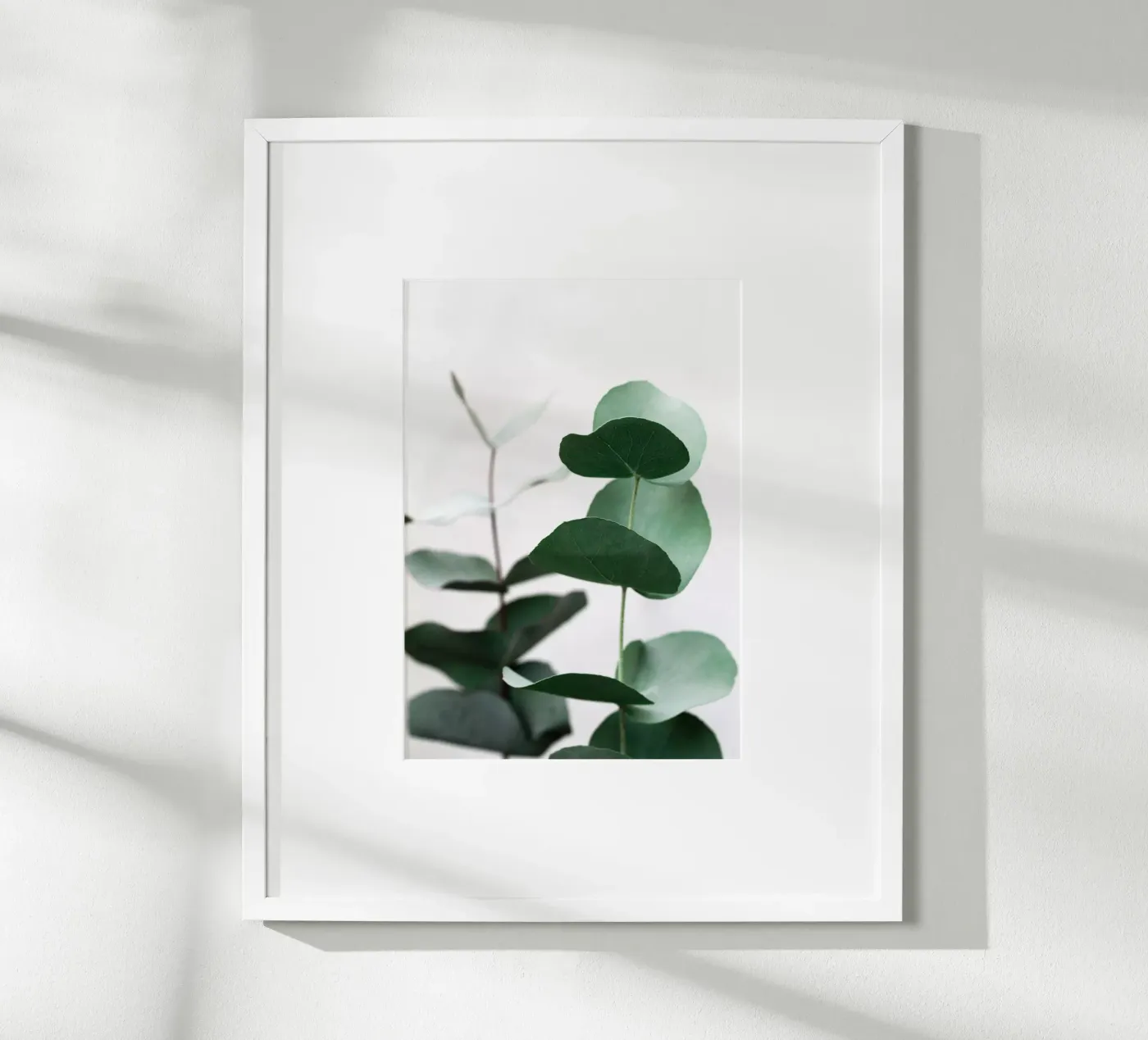 Eucalyptus 5 poster da Mareike Böhmer Photography