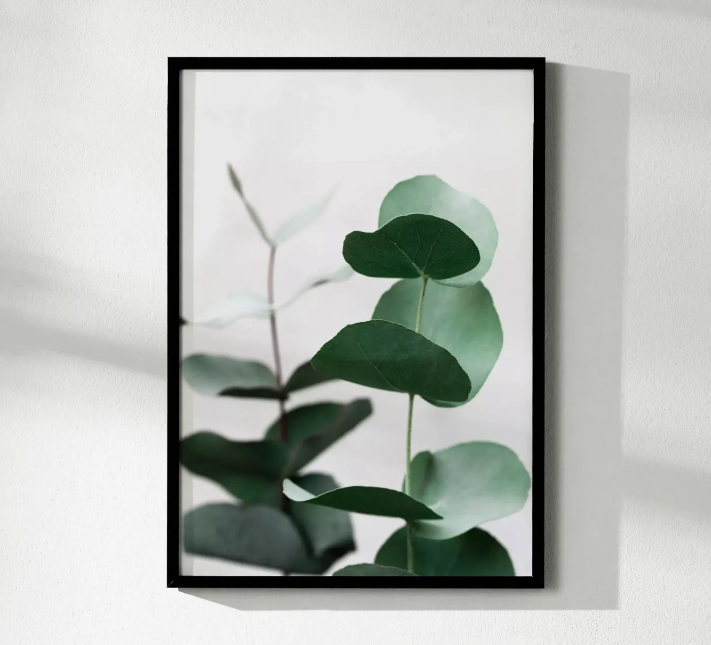 Eucalyptus 5 poster da Mareike Böhmer Photography