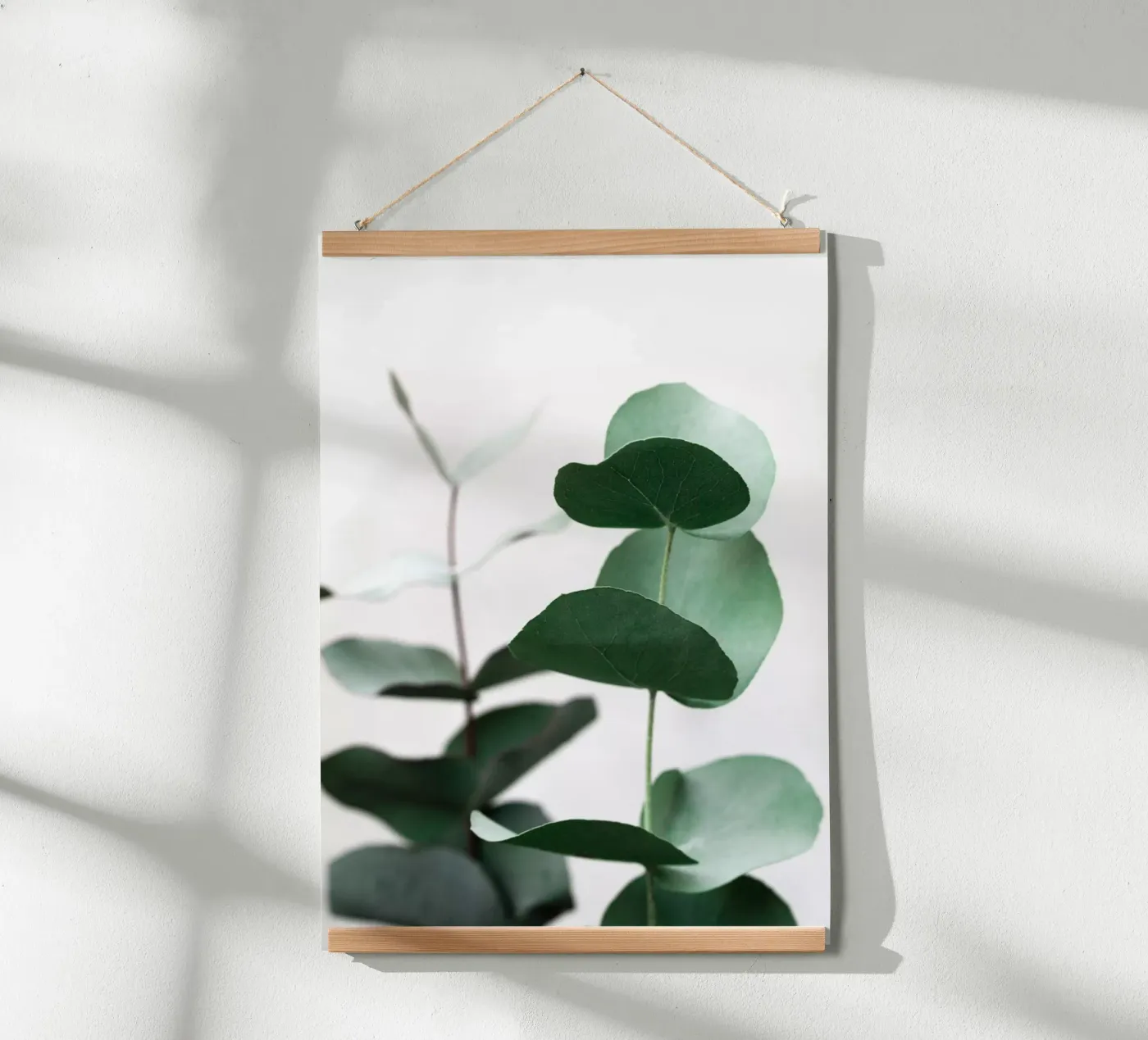 Eucalyptus 5 poster da Mareike Böhmer Photography