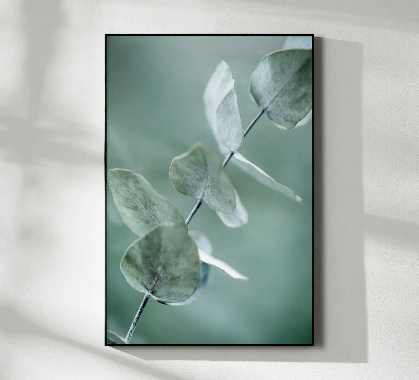 Eucalyptus 9 acrylic glass by Mareike Böhmer Photography