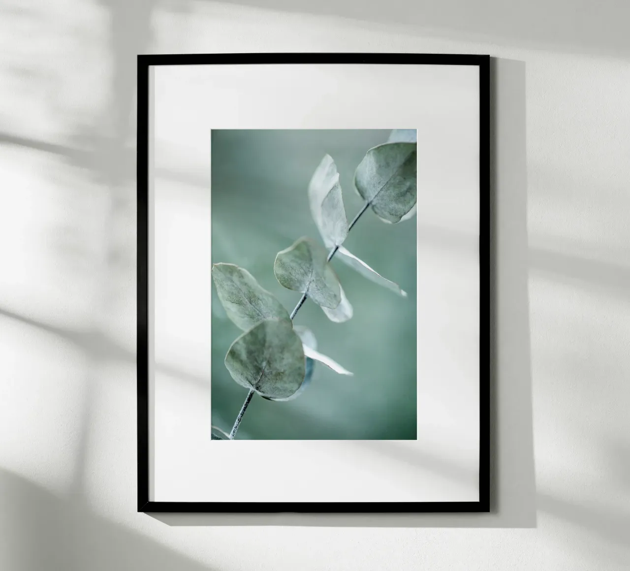 Eucalyptus 9 carta hahnemühle da Mareike Böhmer Photography