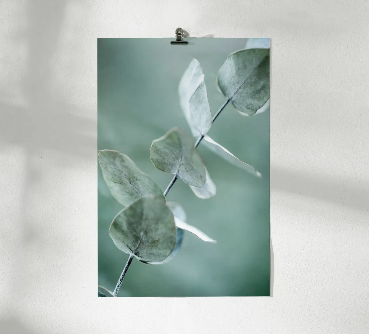 Eucalyptus 9 poster da Mareike Böhmer Photography