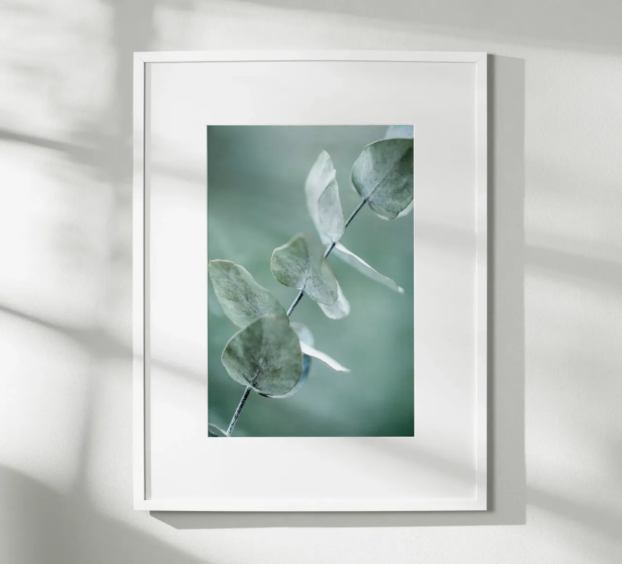 Eucalyptus 9 carta hahnemühle da Mareike Böhmer Photography