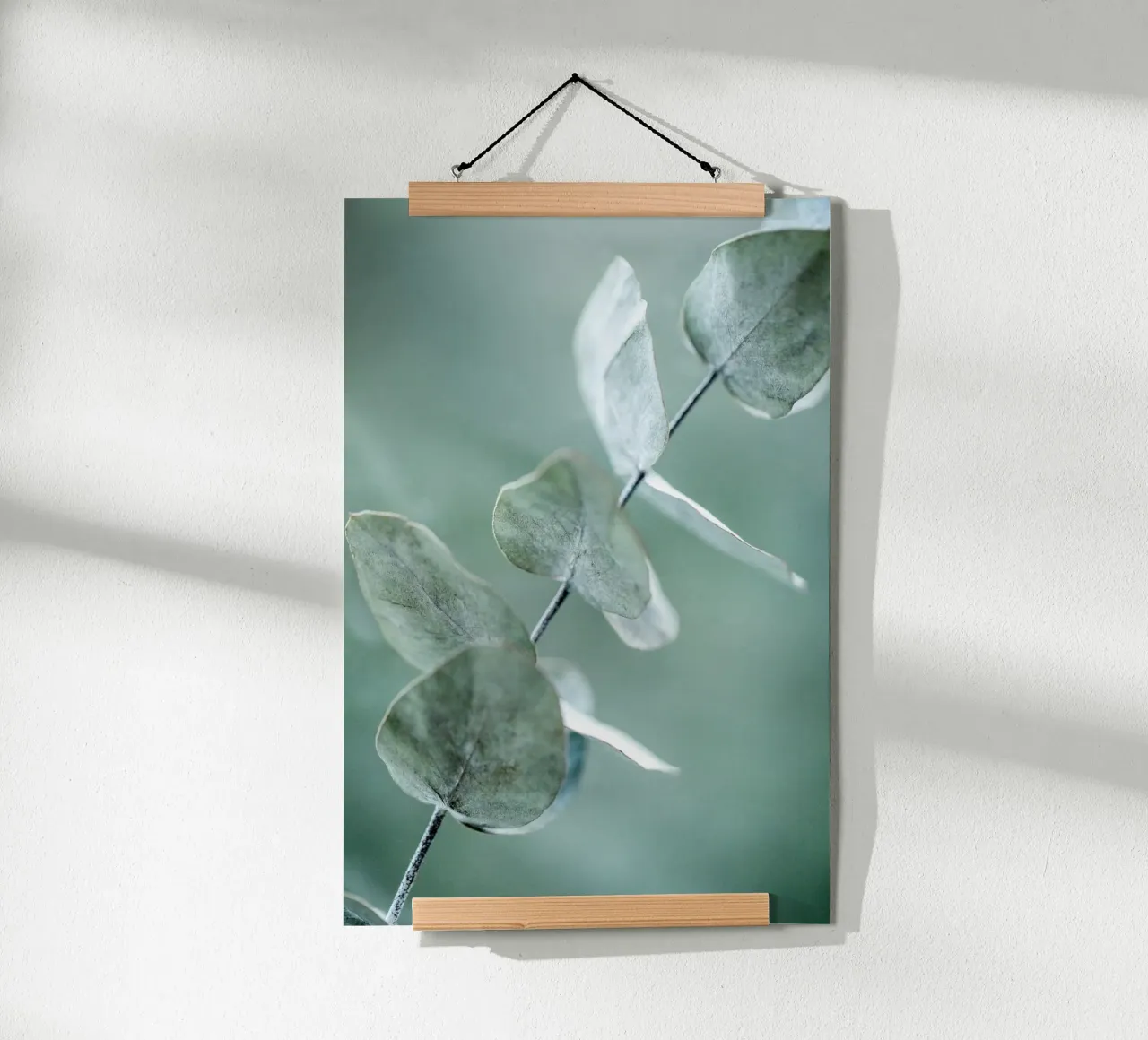 Eucalyptus 9 carta hahnemühle da Mareike Böhmer Photography