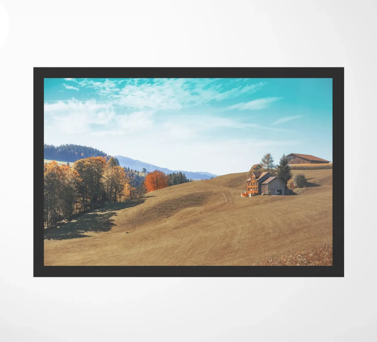 landscape tree line woodland zerbino da cofa home