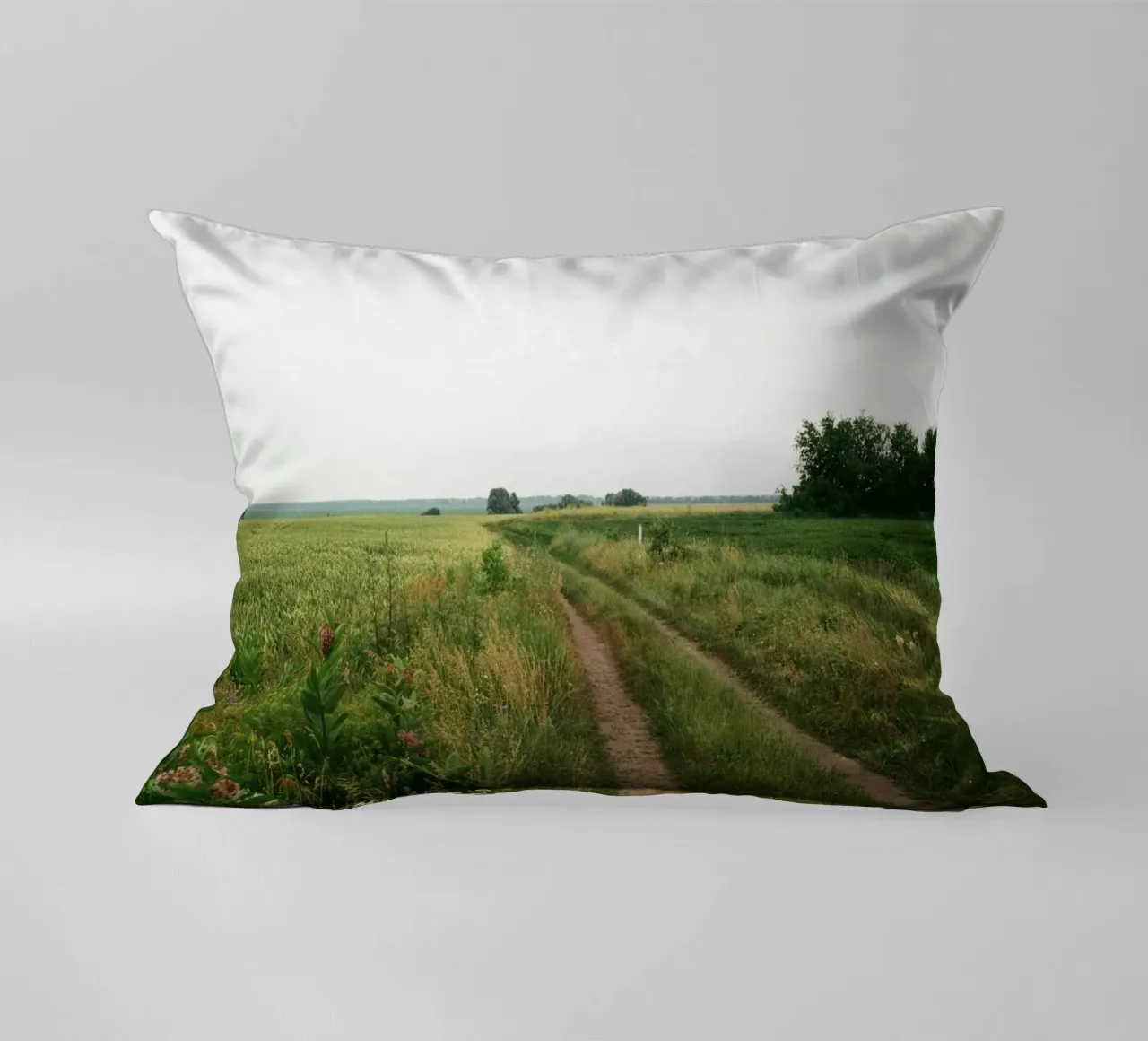 vegetation nature open field cuscino da cofa home