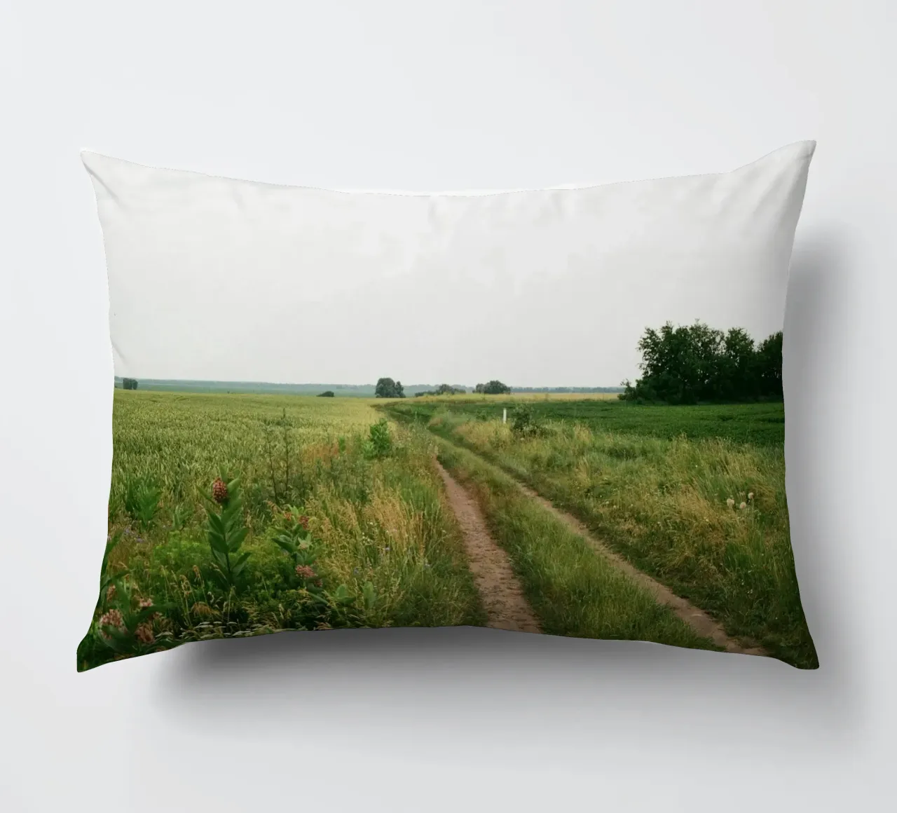 vegetation nature open field cuscino da cofa home