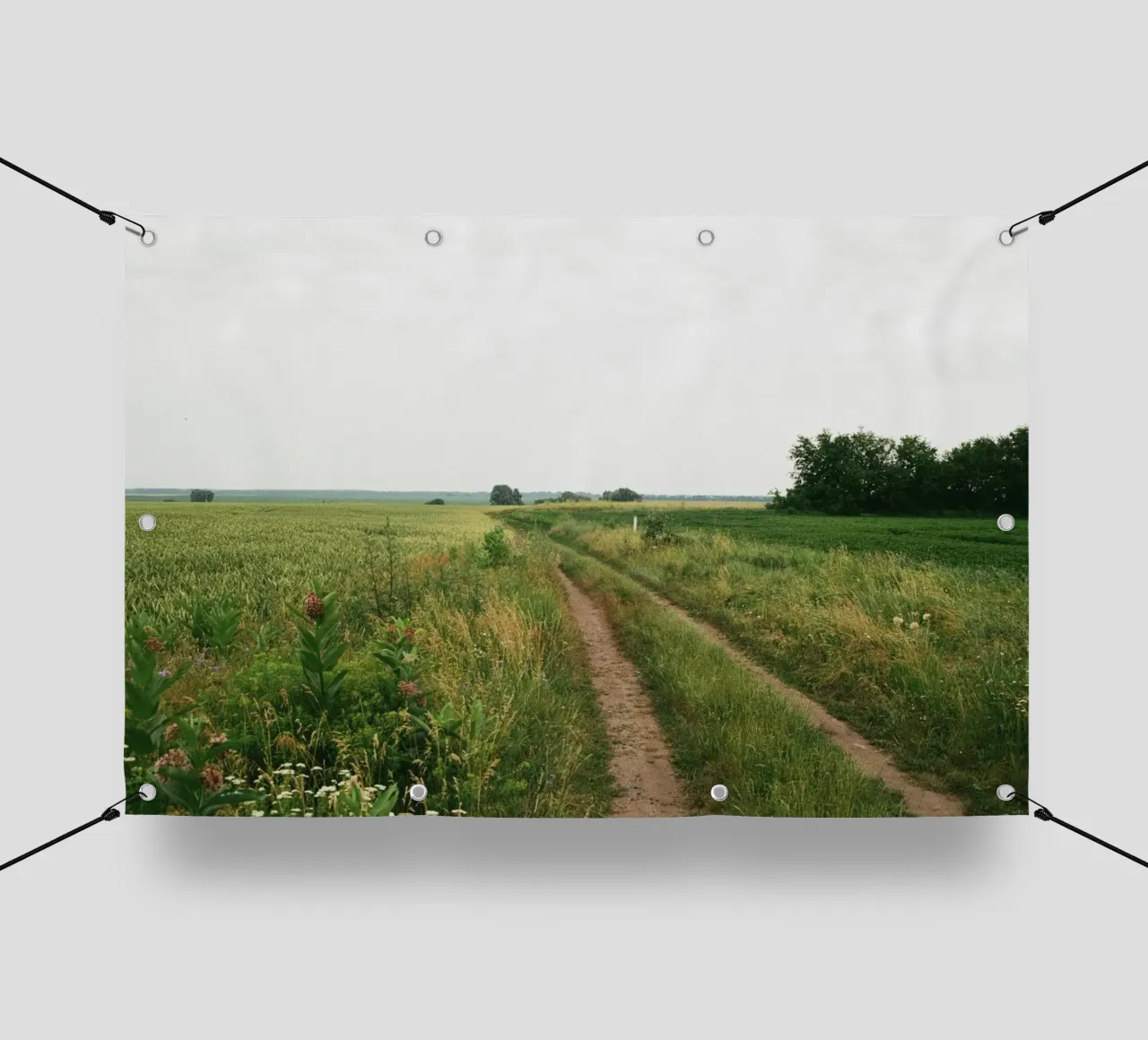 vegetation nature open field telo in pvc da cofa home