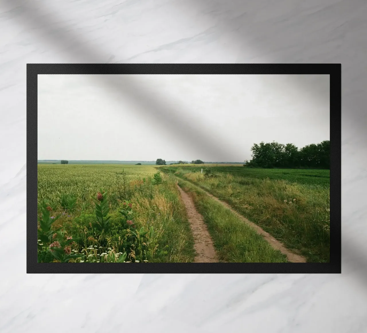 vegetation nature open field zerbino da cofa home