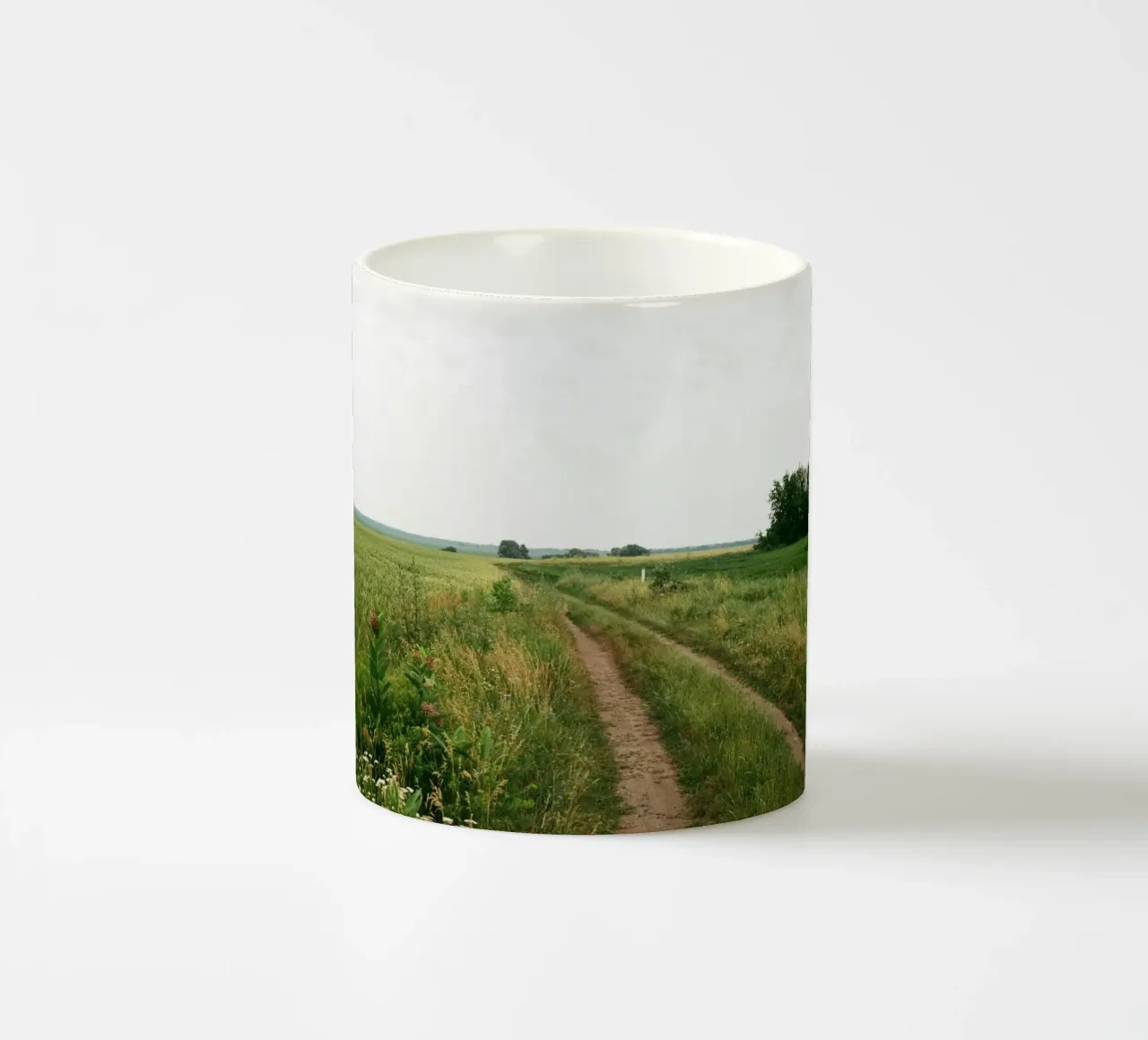 vegetation nature open field tazza in ceramica da cofa home