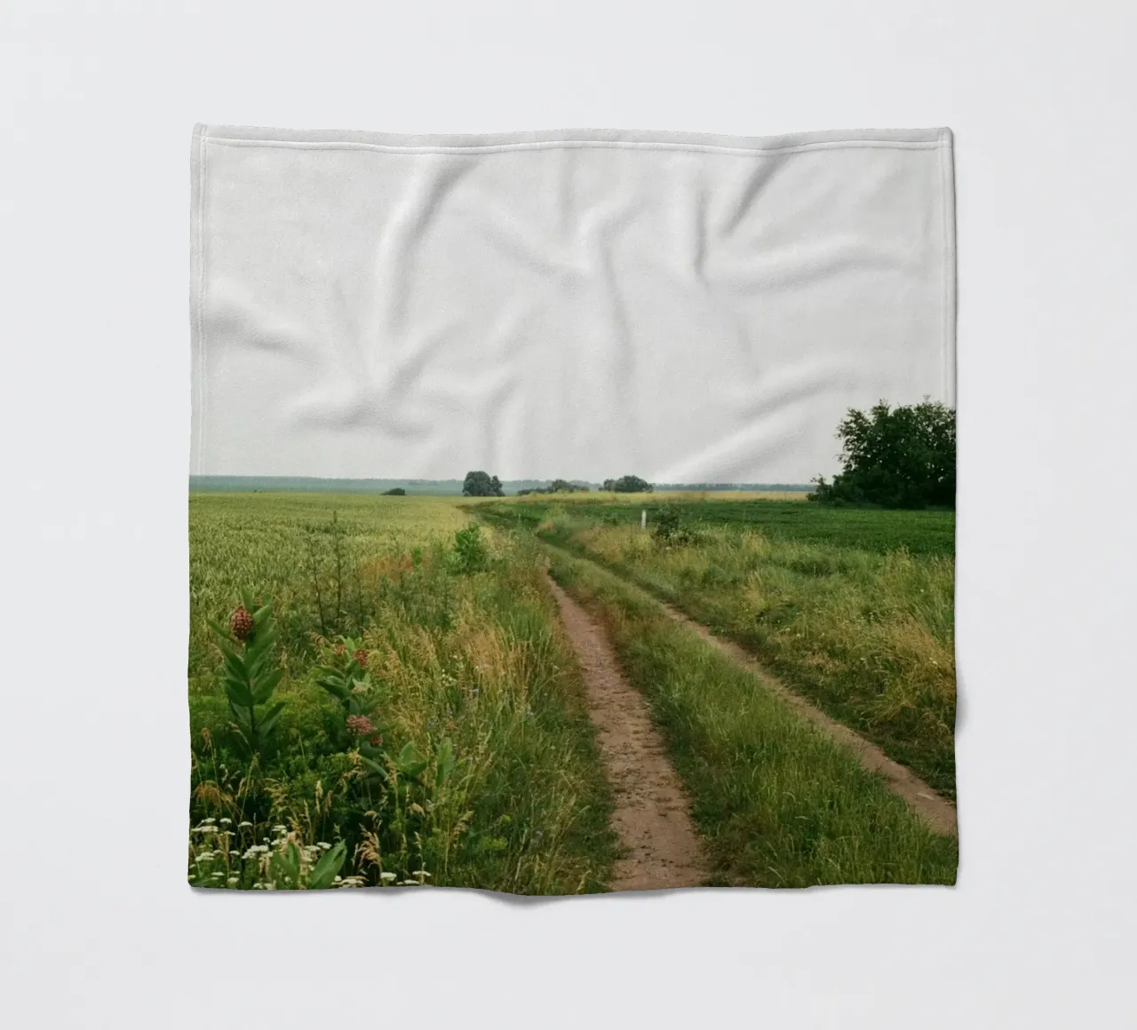 vegetation nature open field coperta in pile da cofa home