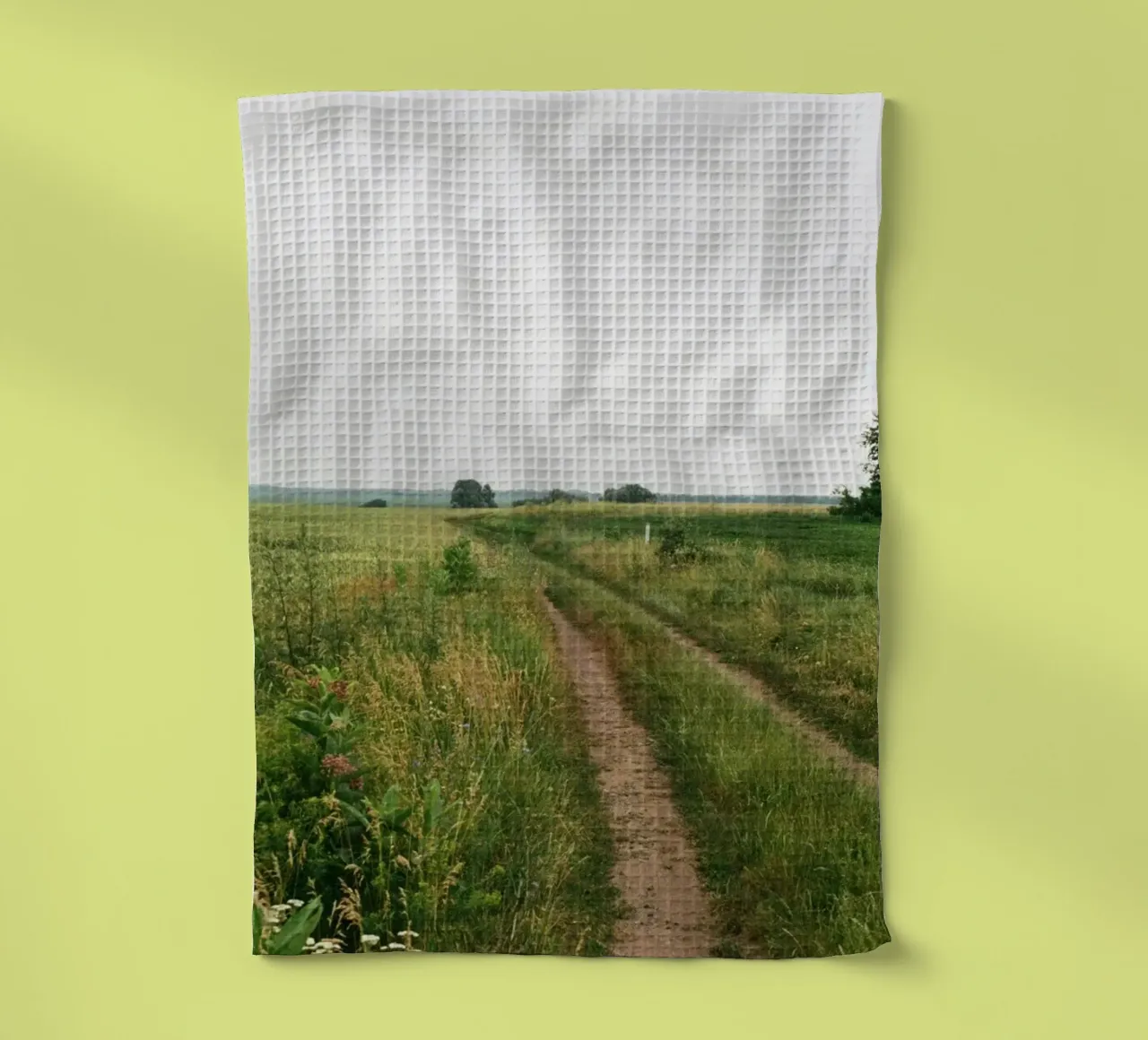 vegetation nature open field torchon de cofa home