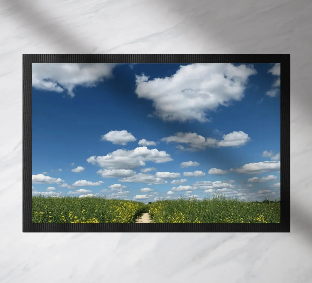 rural setting sky zerbino da animal story home