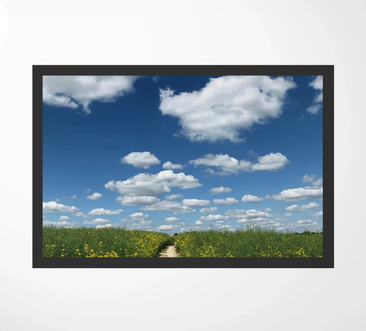 rural setting sky zerbino da animal story home