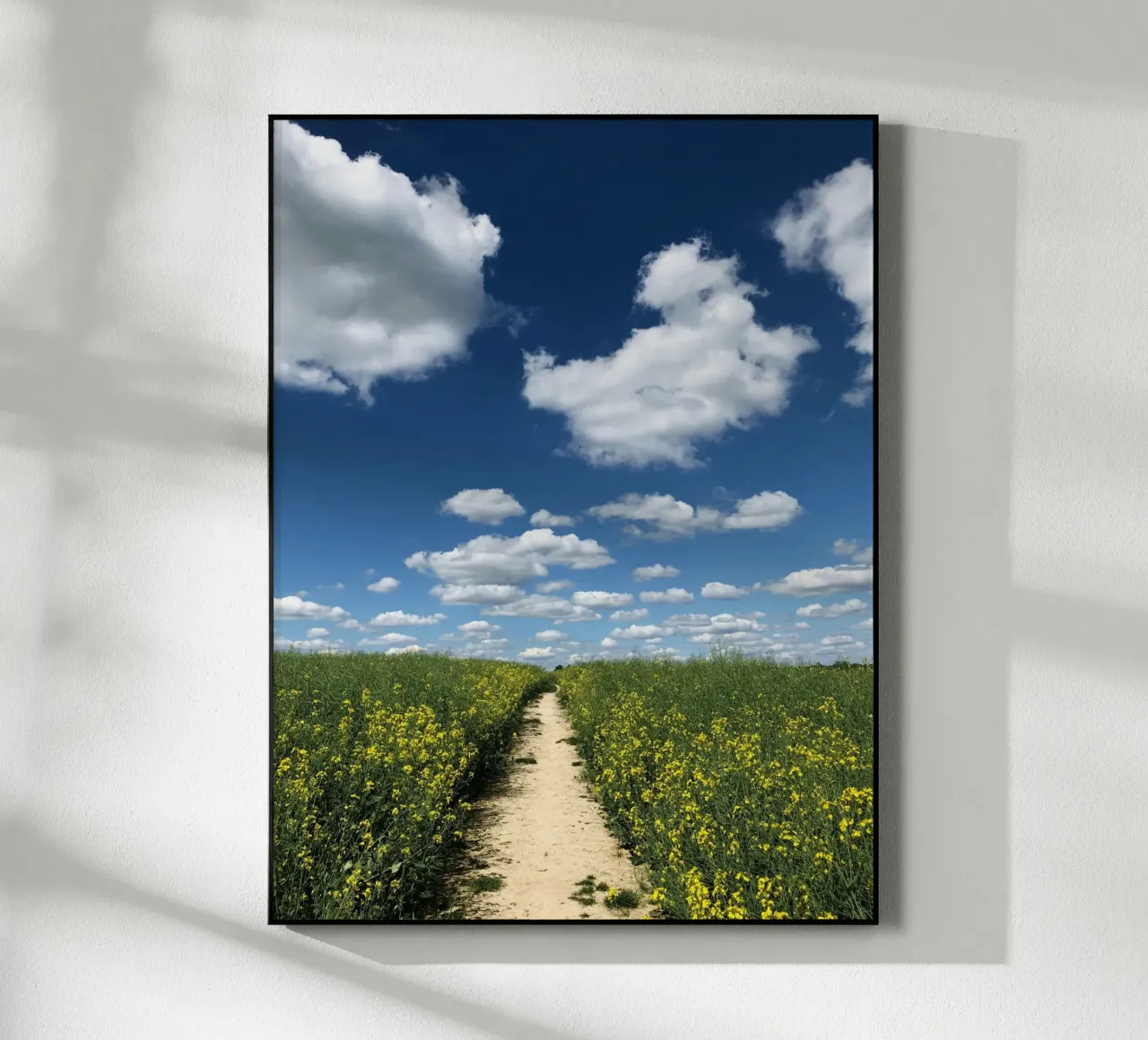 rural setting sky plexiglass da animal story home