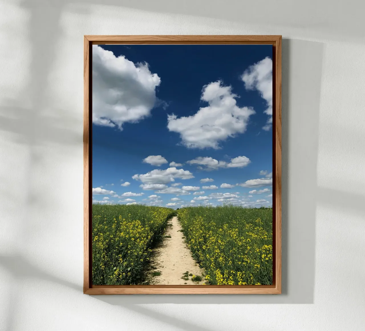 rural setting sky alluminio dibond da animal story home
