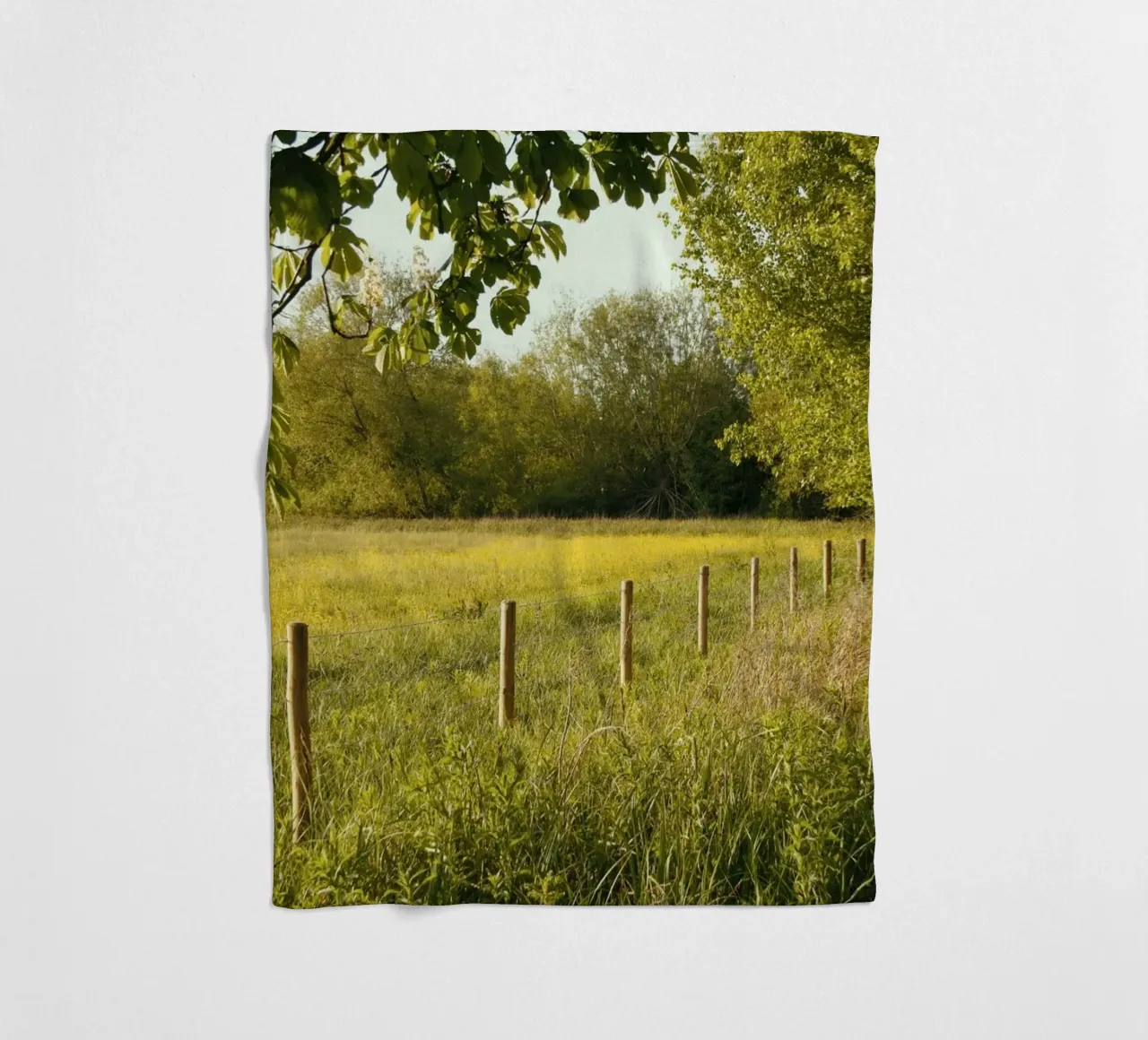 sunlight foliage horizon coperta in pile da cofa home