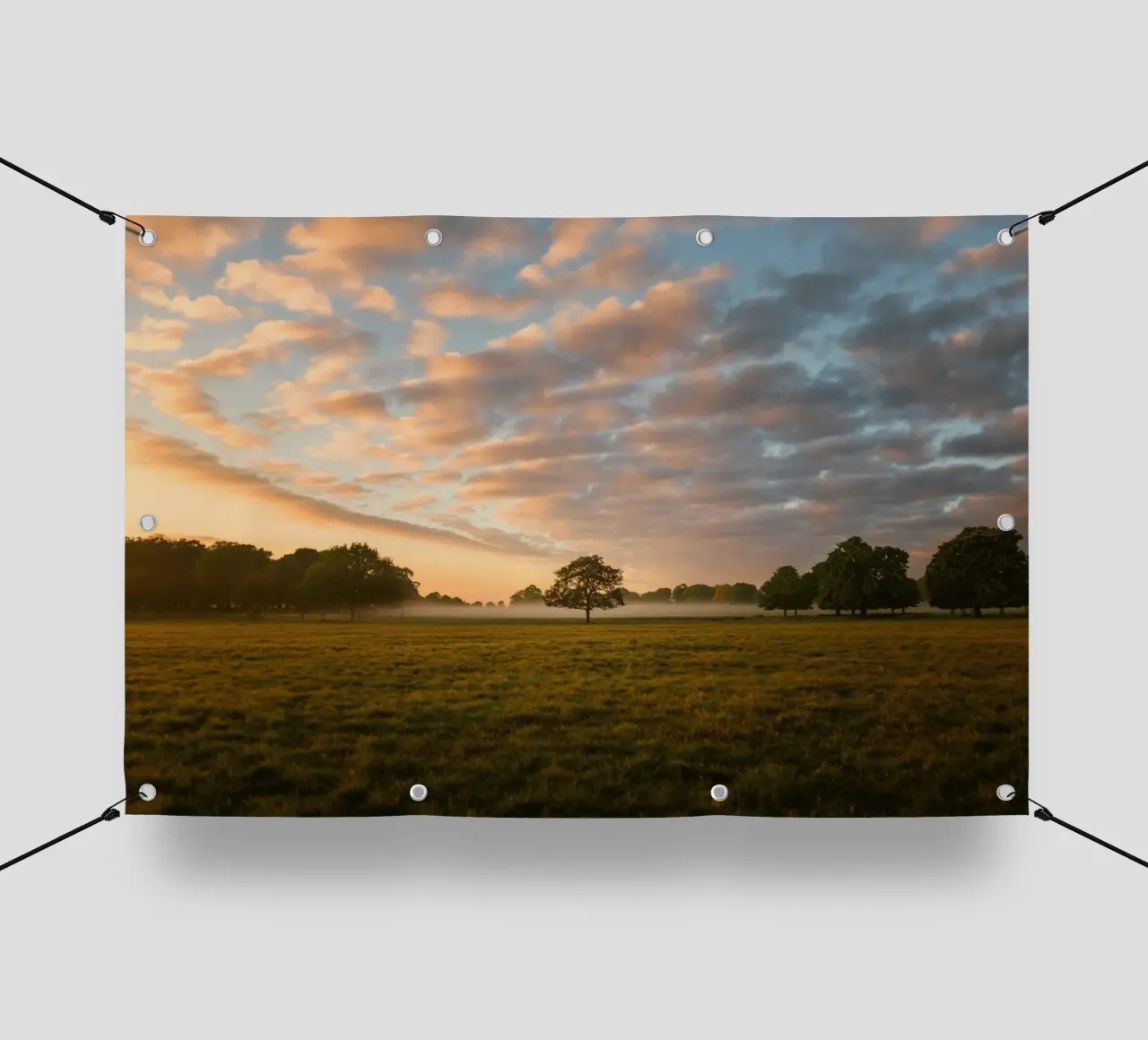 sunlight trees open space telo in pvc da animal story home