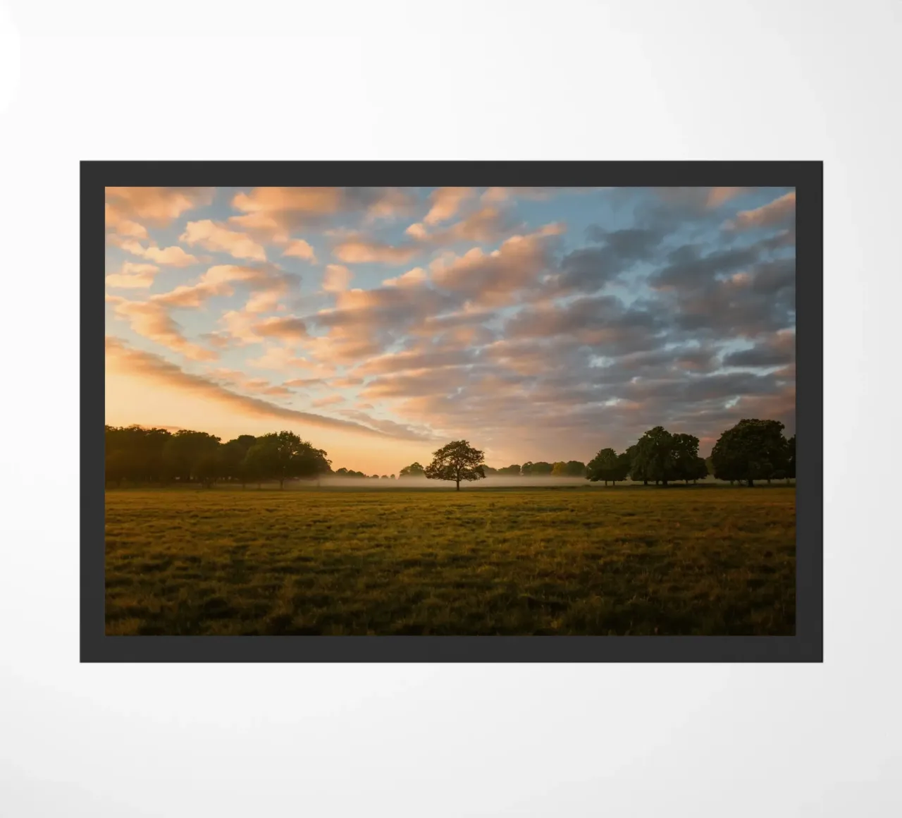 sunlight trees open space zerbino da animal story home