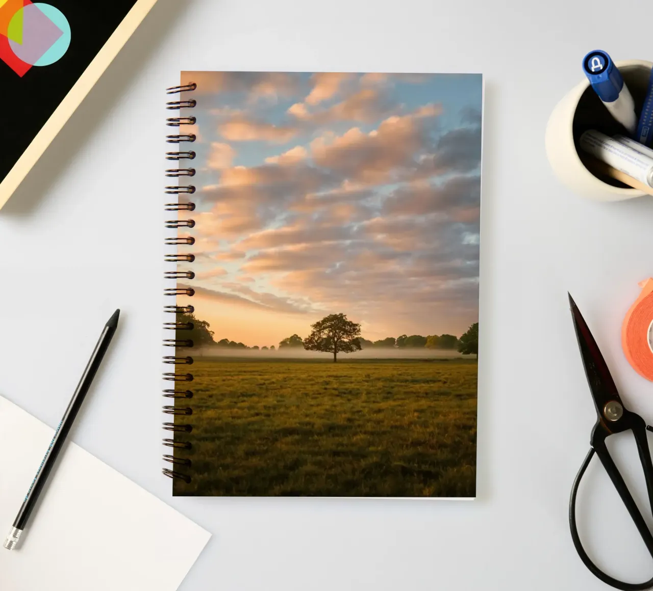 sunlight trees open space spiral notebook by animal story home