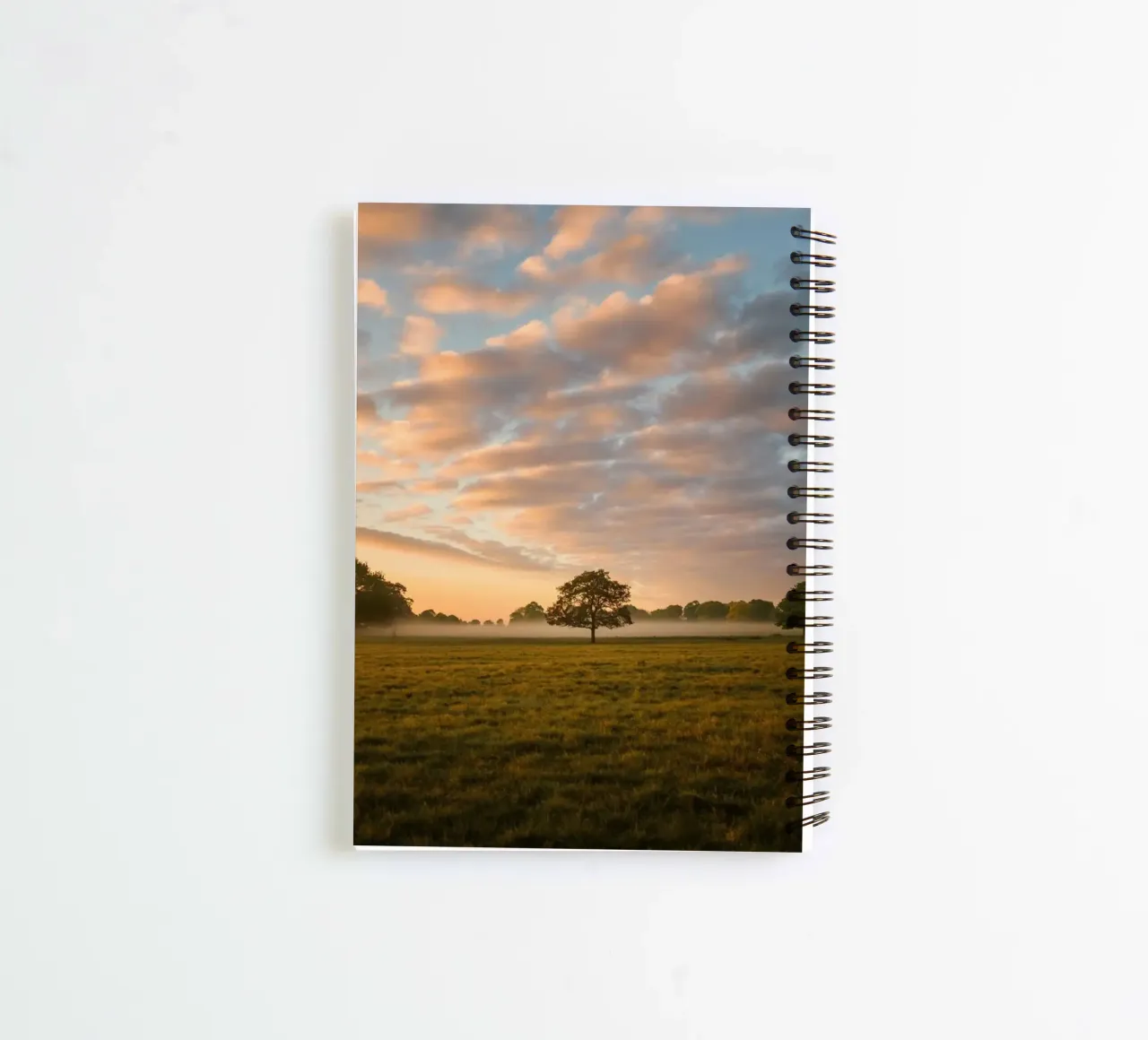 sunlight trees open space spiral notebook by animal story home