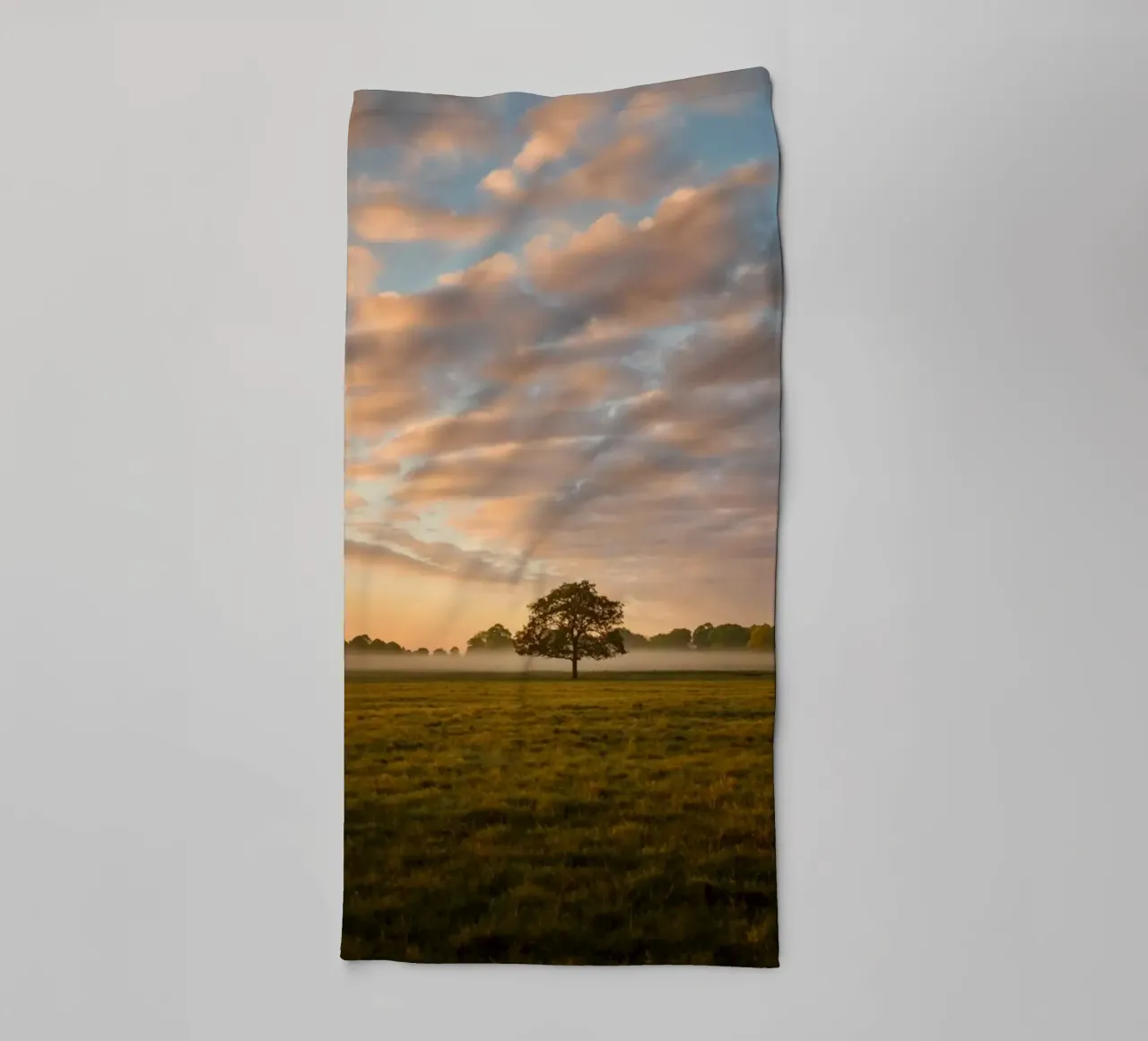 sunlight trees open space towel by animal story home
