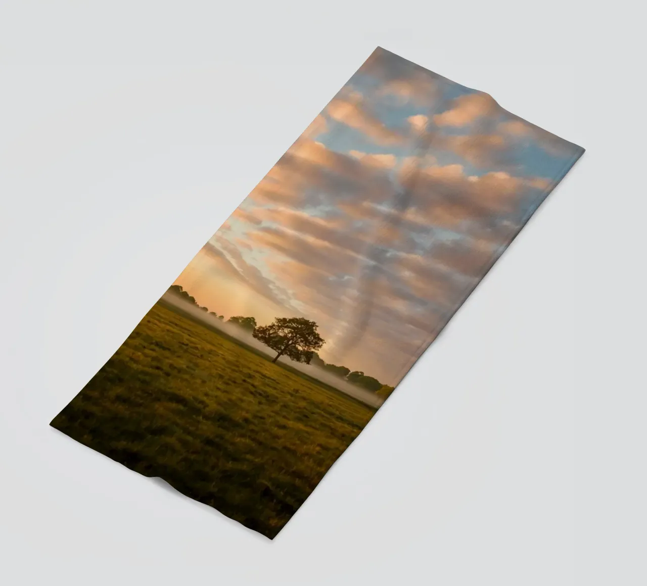 sunlight trees open space telo mare da animal story home