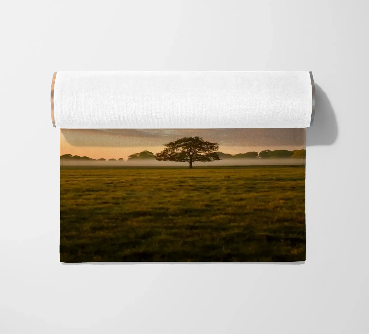 sunlight trees open space telo mare da animal story home