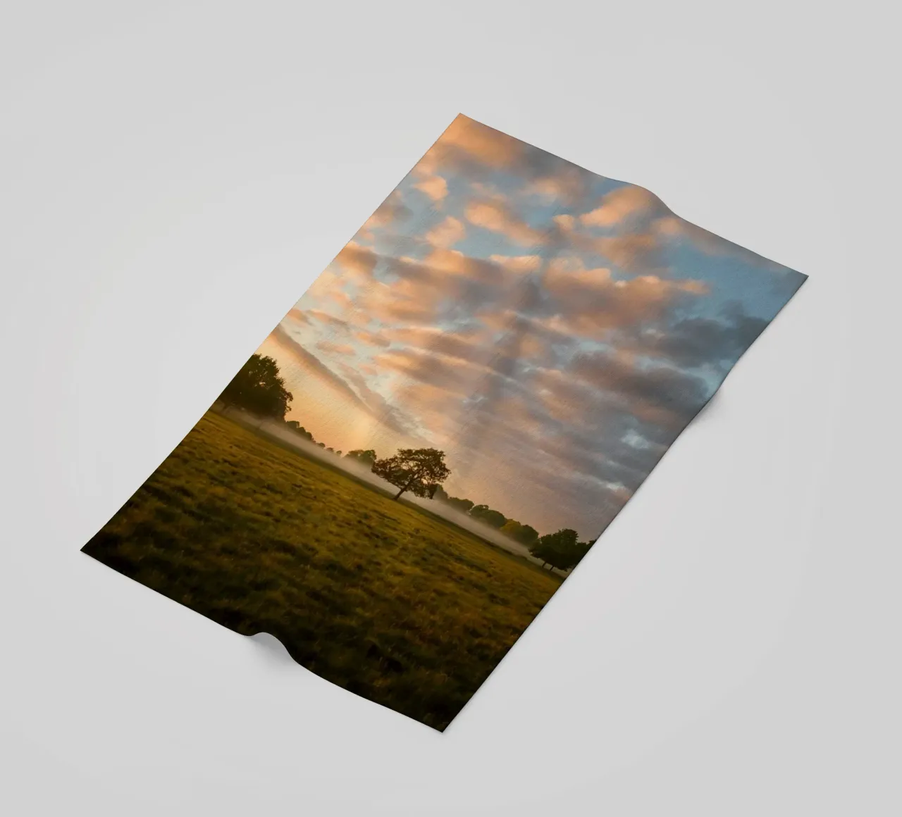 sunlight trees open space telo mare da animal story home