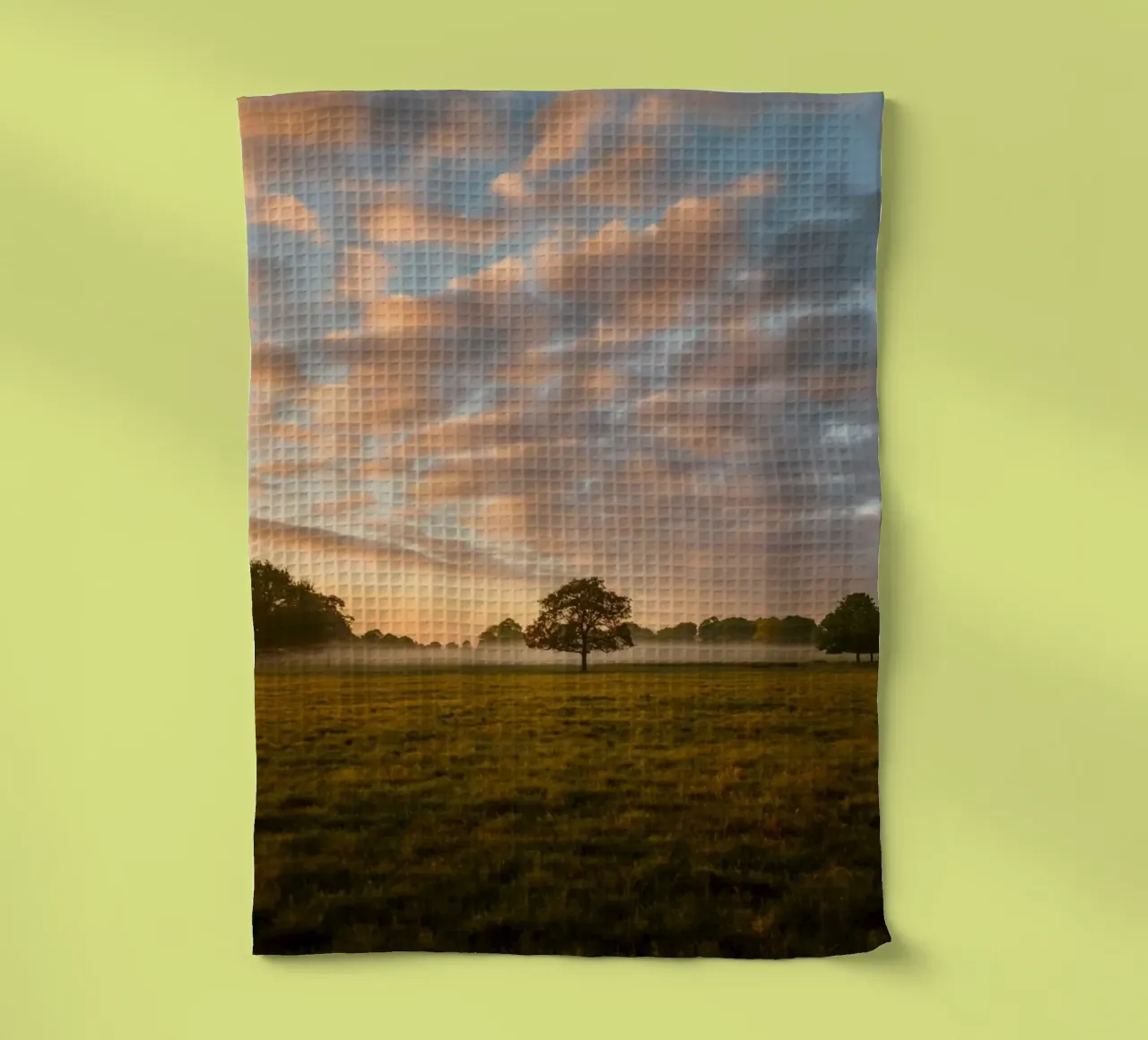 sunlight trees open space torchon de animal story home