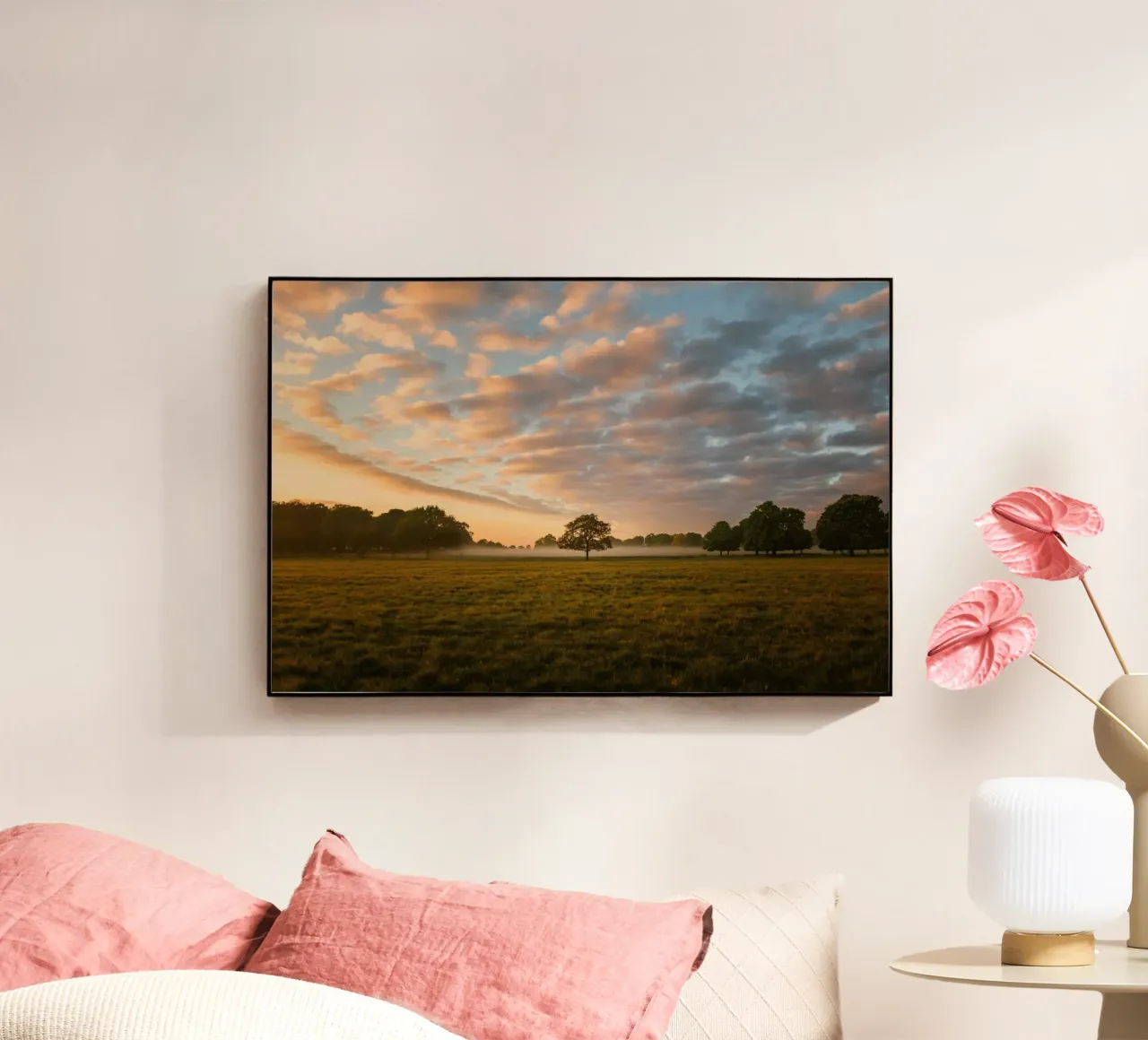 sunlight trees open space plexiglass da animal story home