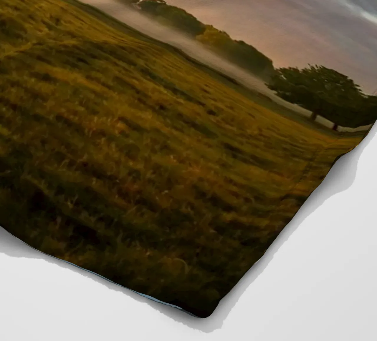 sunlight trees open space coperta in pile da animal story home