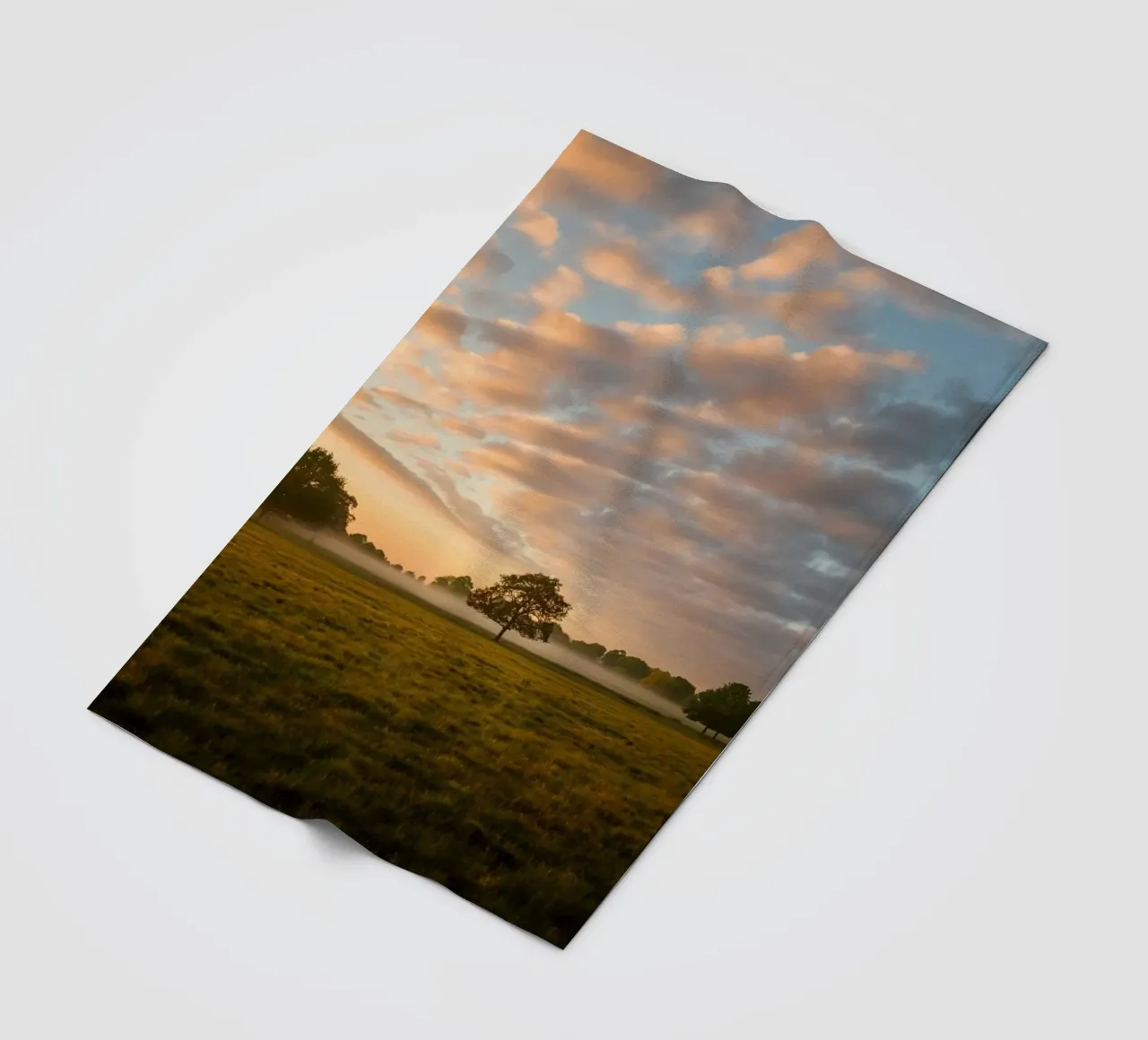 sunlight trees open space coperta in pile da animal story home