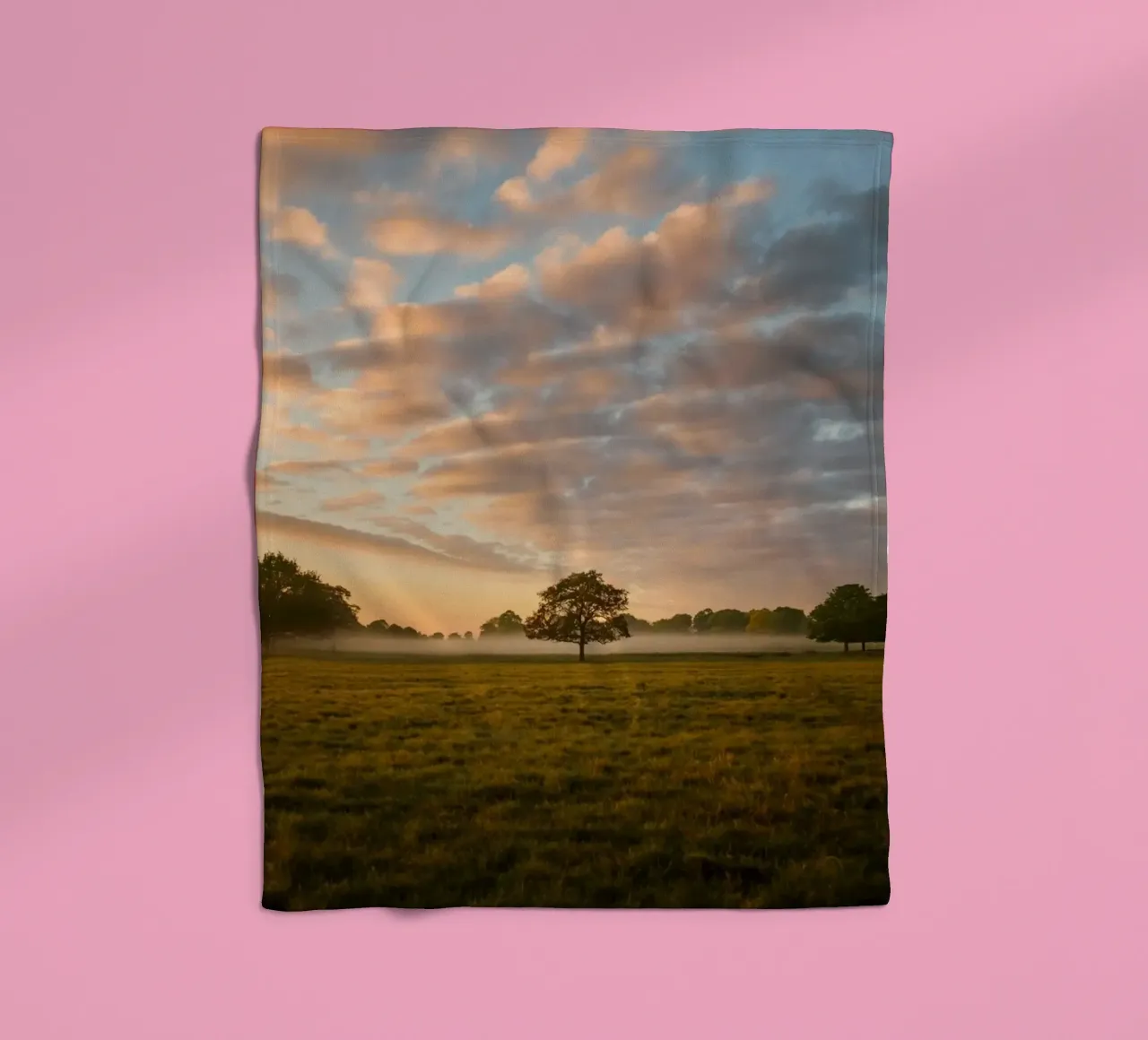 sunlight trees open space coperta in pile da animal story home