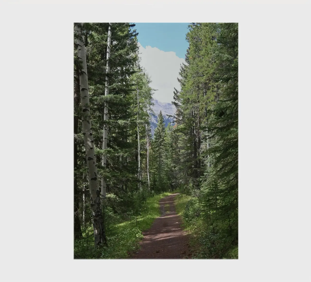 scenery woods landscape notebook by cofa home