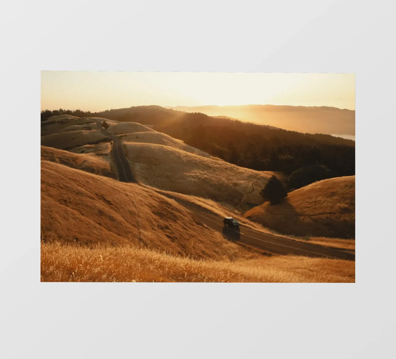 golden light landscape sky telo in pvc da cofa home