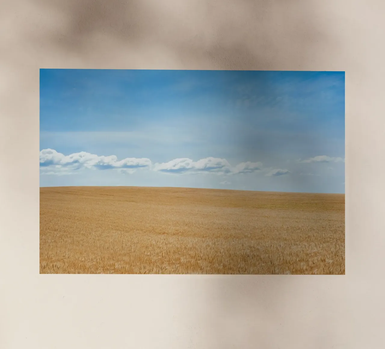 cloud formation expanse pellicola backlit da cofa home