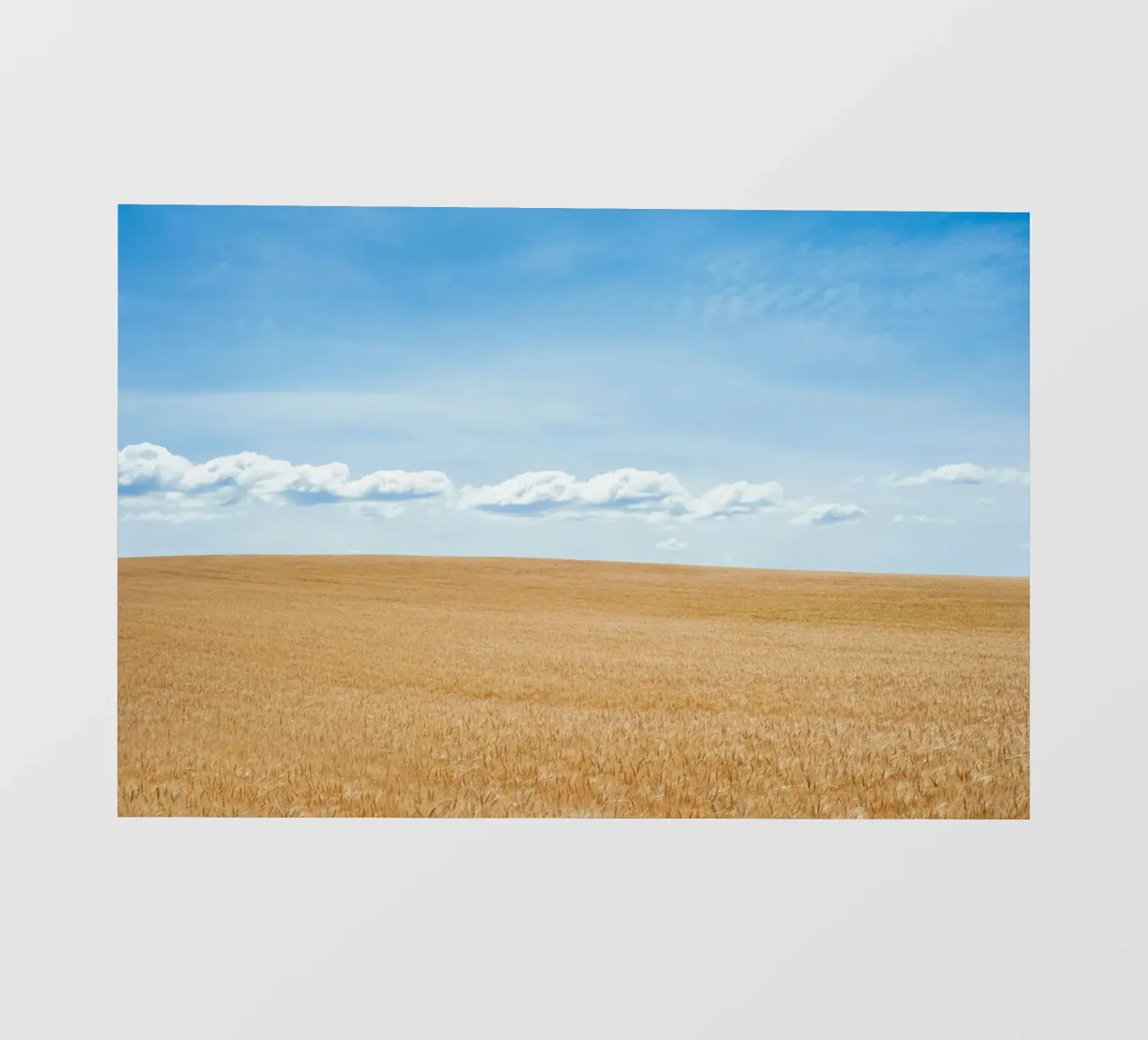cloud formation expanse telo in pvc da cofa home
