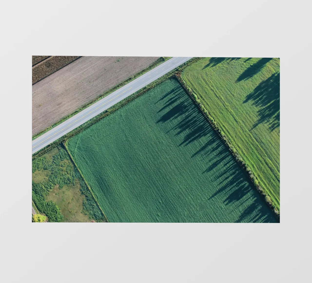 agriculture rectangles telo in pvc da animal story home