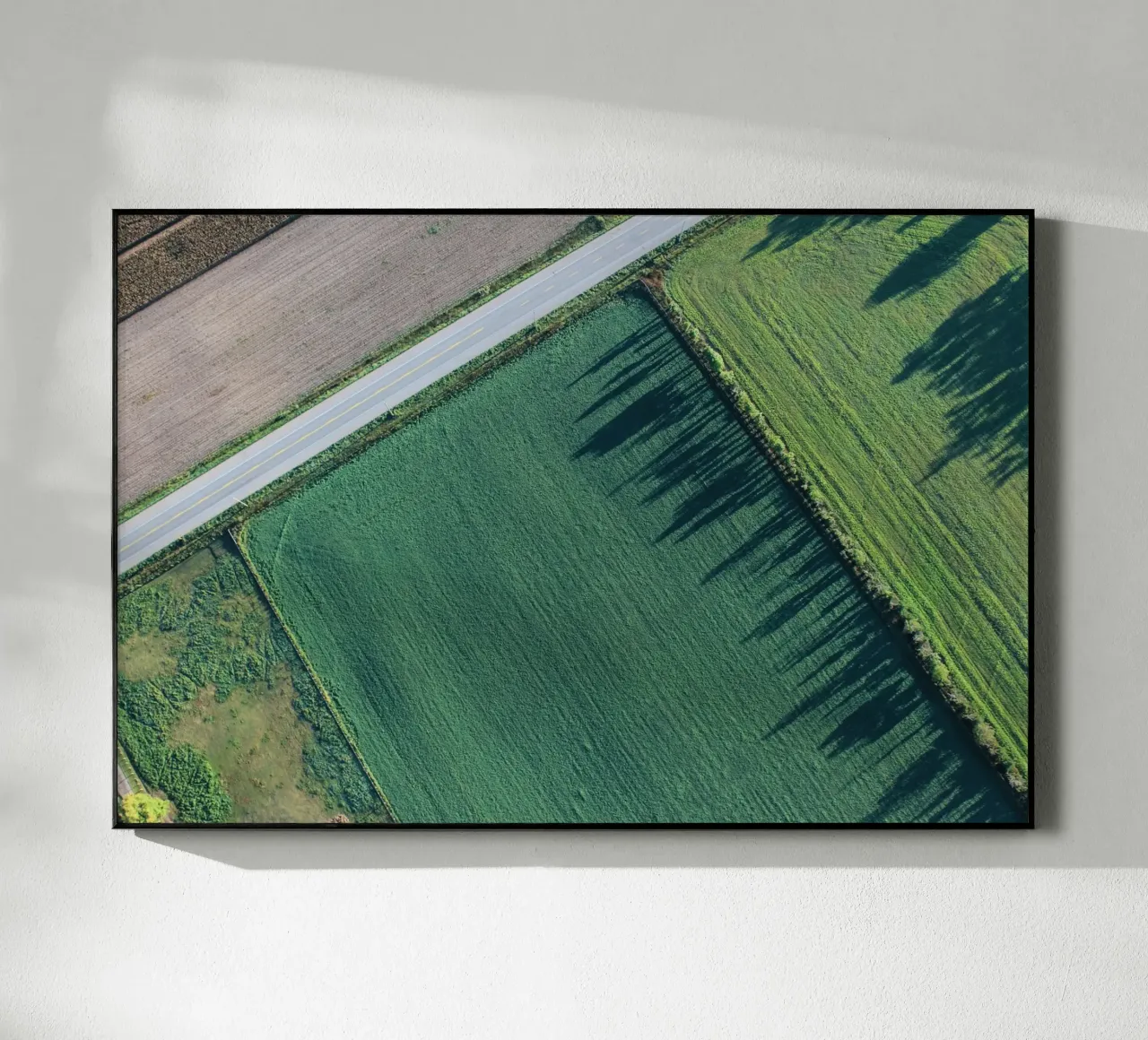 agriculture rectangles plexiglass da animal story home